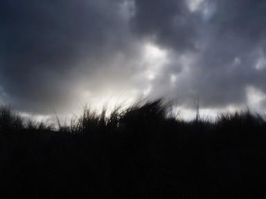 Matt Kent; Windswept Hill; An isolated hill at Piha